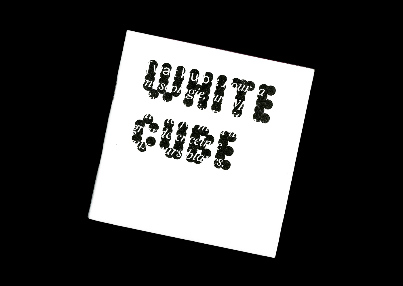 preview projet white cube